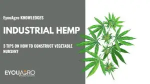 industrial hemp (2)