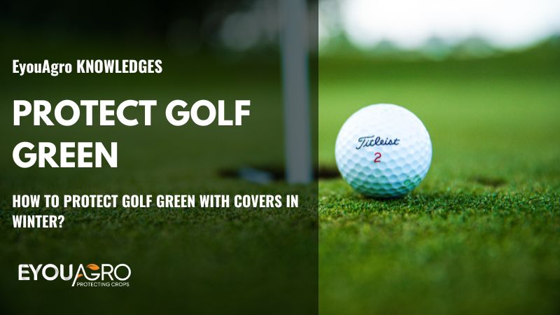 proteger el green de golf
