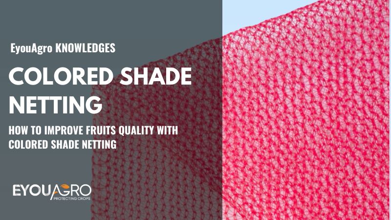 colored shade netting