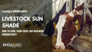 livestock sun shade