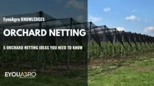 orchard netting