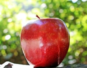 リンゴ、赤、果物-1702316.jpg
