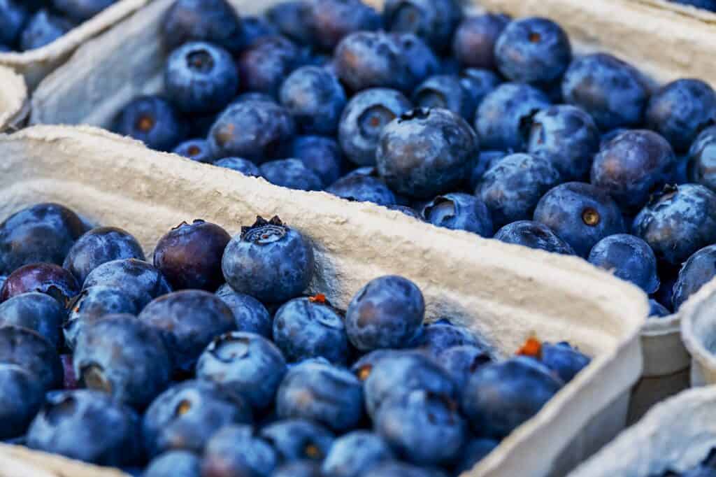 blueberries, berries, fruits-3474854.jpg