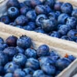 blueberries, berries, fruits-3474854.jpg