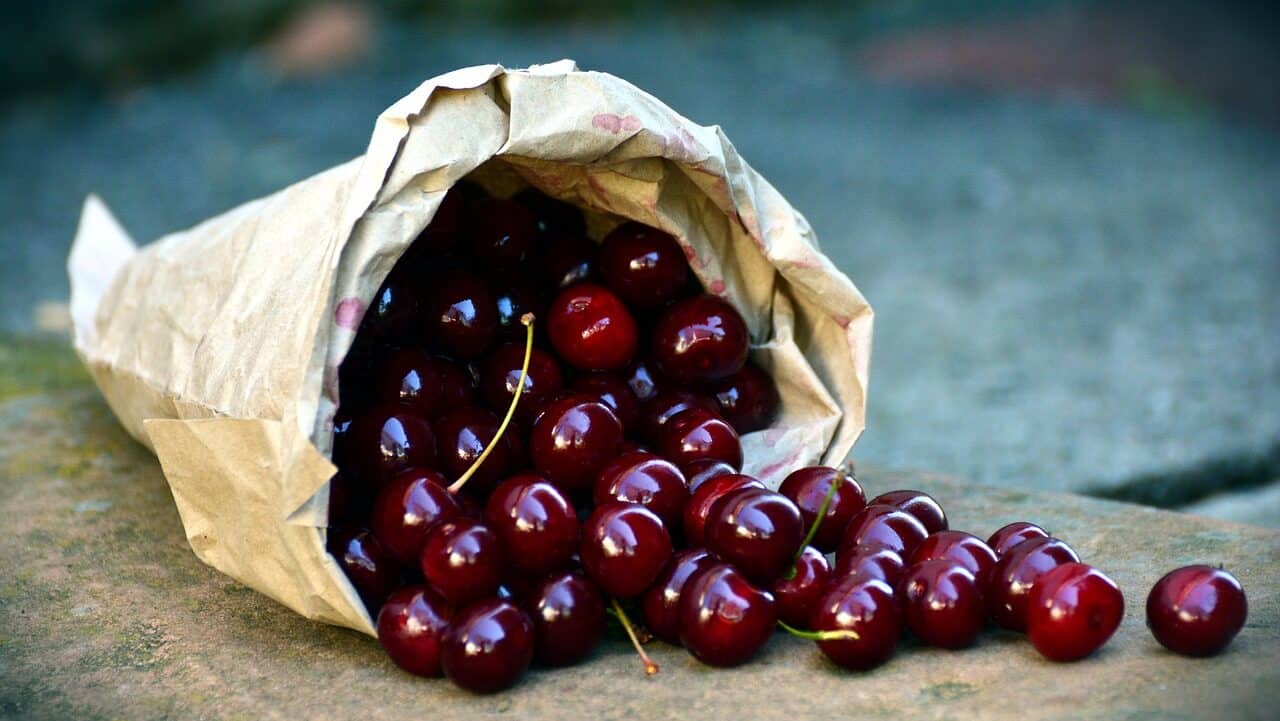 cherries, fruit, sour cherries-3522365.jpg