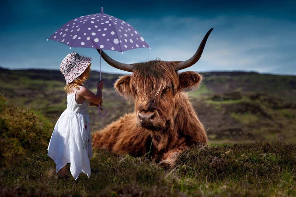 子供、牛、傘-1429190.jpg