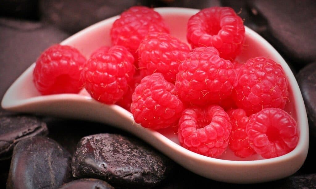 raspberries, fruits, food-1426859.jpg