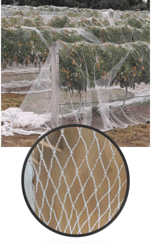vineyard drape netting detail