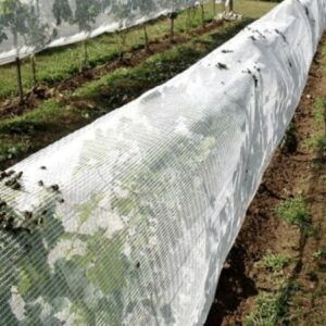 vineyard insect netting