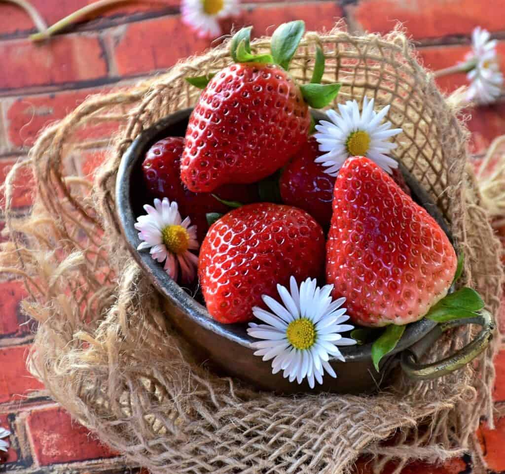 fraises, fruits, nourriture-4089616.jpg