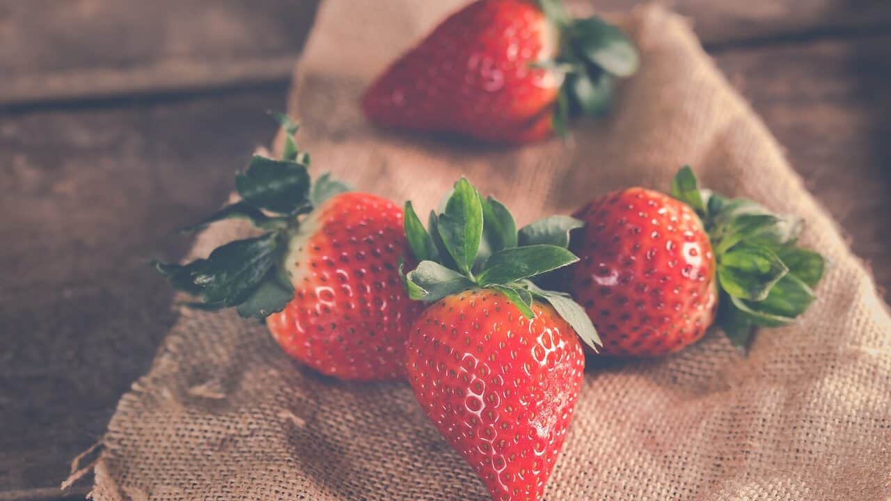 strawberries, fruits, berries-3221094.jpg