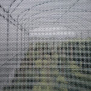 17 mesh insect net