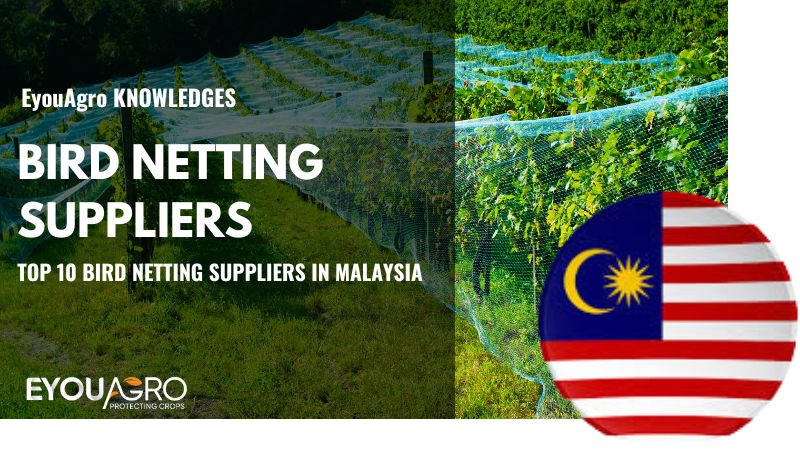 Top 10 Bird Netting Suppliers in Malaysia