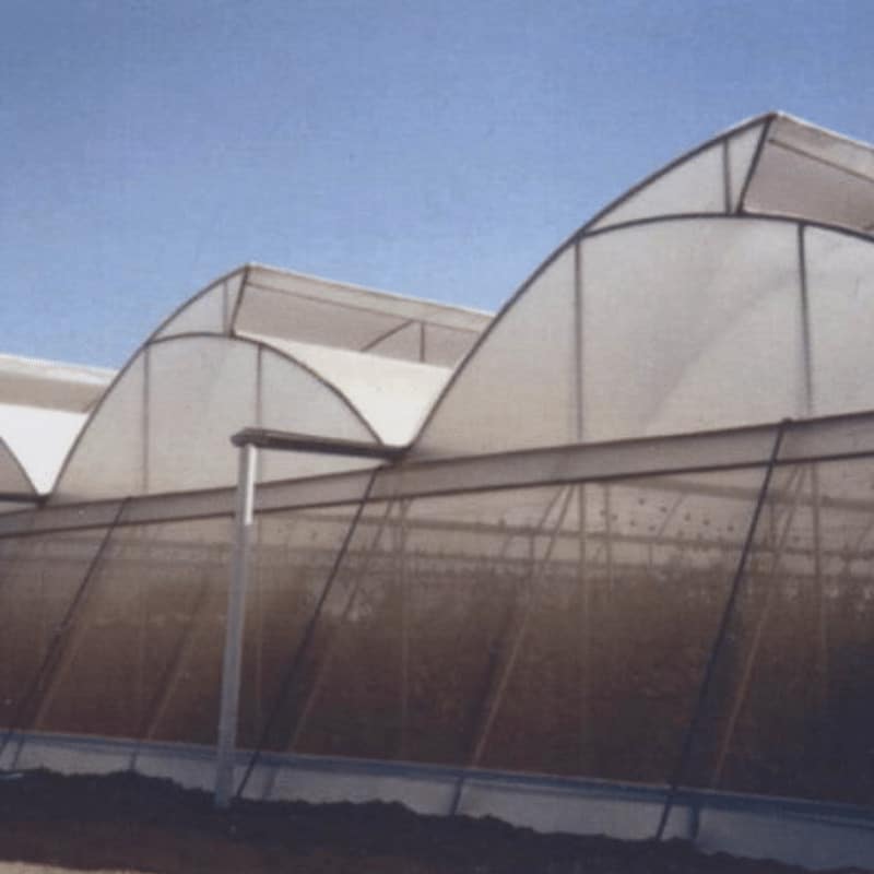 17 Mesh Insect Net | Protect Crops & Vegetables | EYOUAGRO