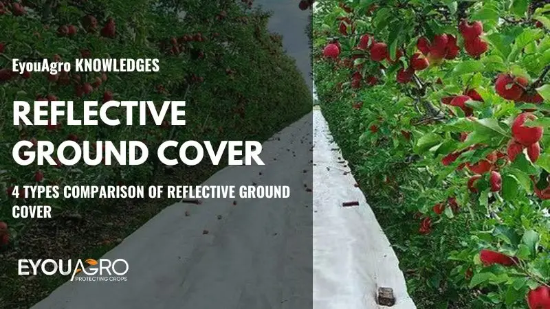 reflective ground cover (5)