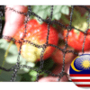 bird netting supplier in malaysia
