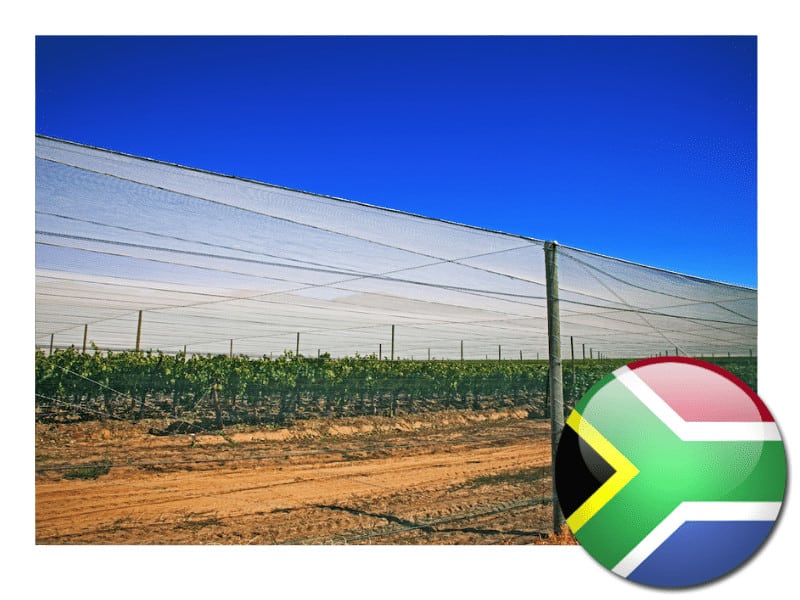 proveedor de redes para pájaros en sudáfrica