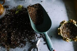 gardening, pot, soil-690940.jpg