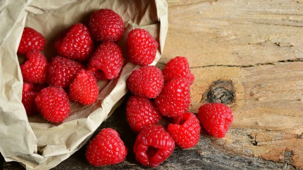 6 Ways on How to Protect Raspberries from Birds ｜ EYOUAGRO