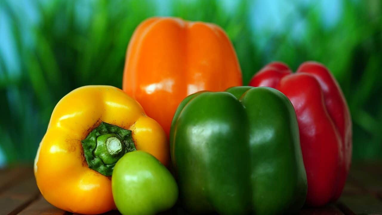 vegetables, bell pepper, organic-6677791.jpg