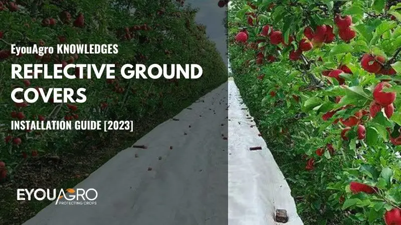 reflective ground cover