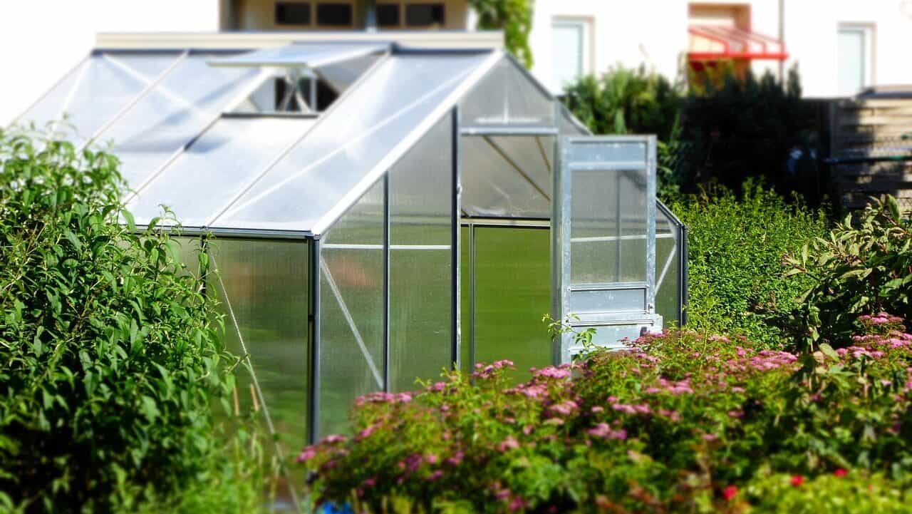 greenhouse, garden, glass house-827464.jpg