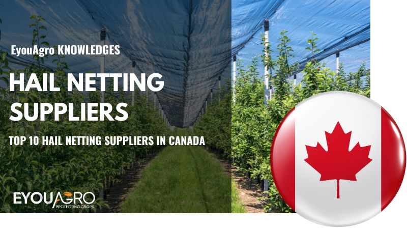 Top 10 Hail Netting Suppliers in Canada