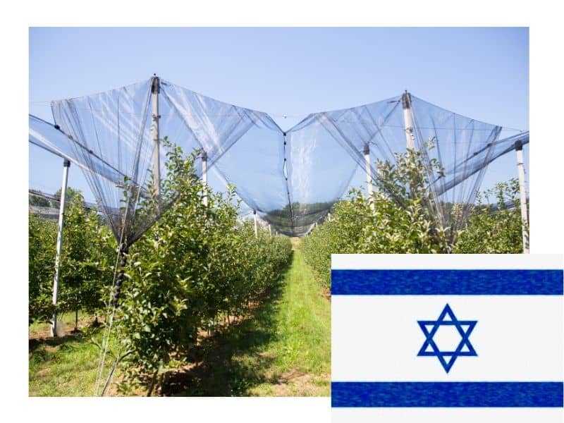 proveedor de redes de granizo en israel