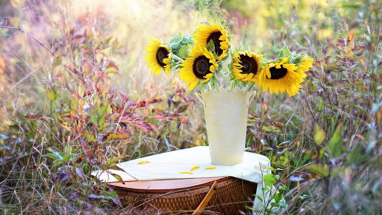 sunflowers, vase, bouquet-1719119.jpg