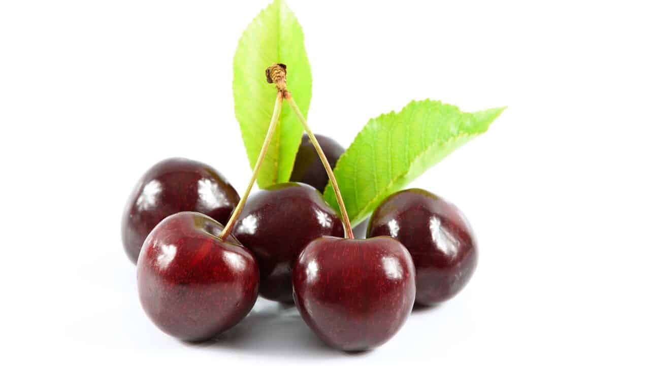 sweet cherries, delicious dessert, healthy eating-1500435.jpg