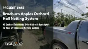 NZ Apples: 10 Years of Hail-Proof Harvests