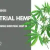 industrial hemp