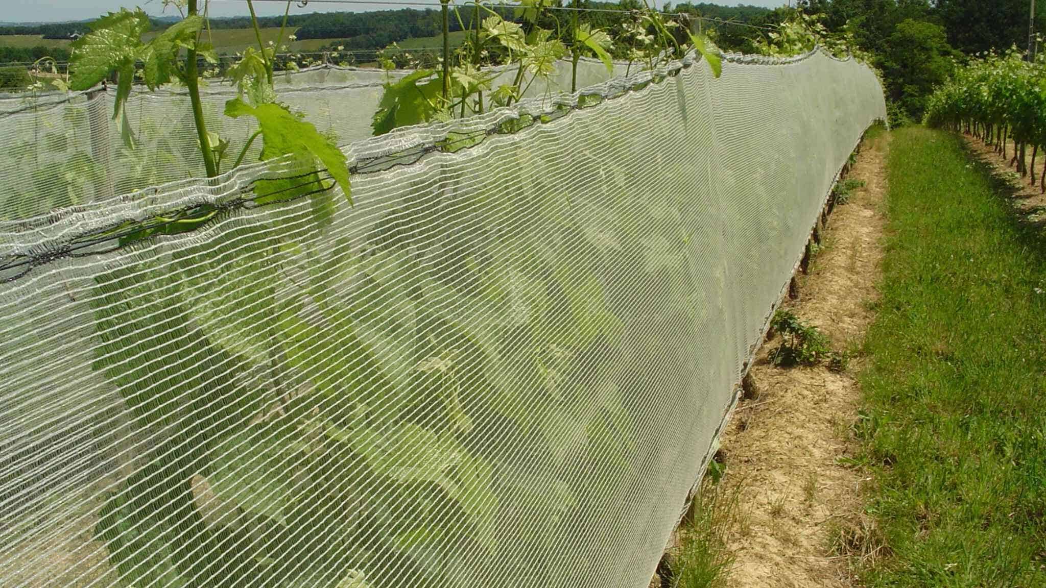 vineyard side netting main eyouagro