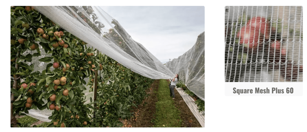 bee netting for apple