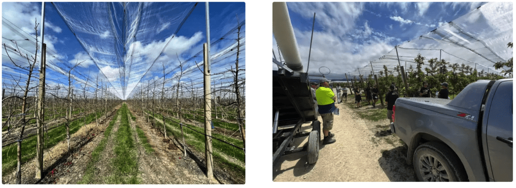 Nelson,New Zealand Hail Netting System Project Completion