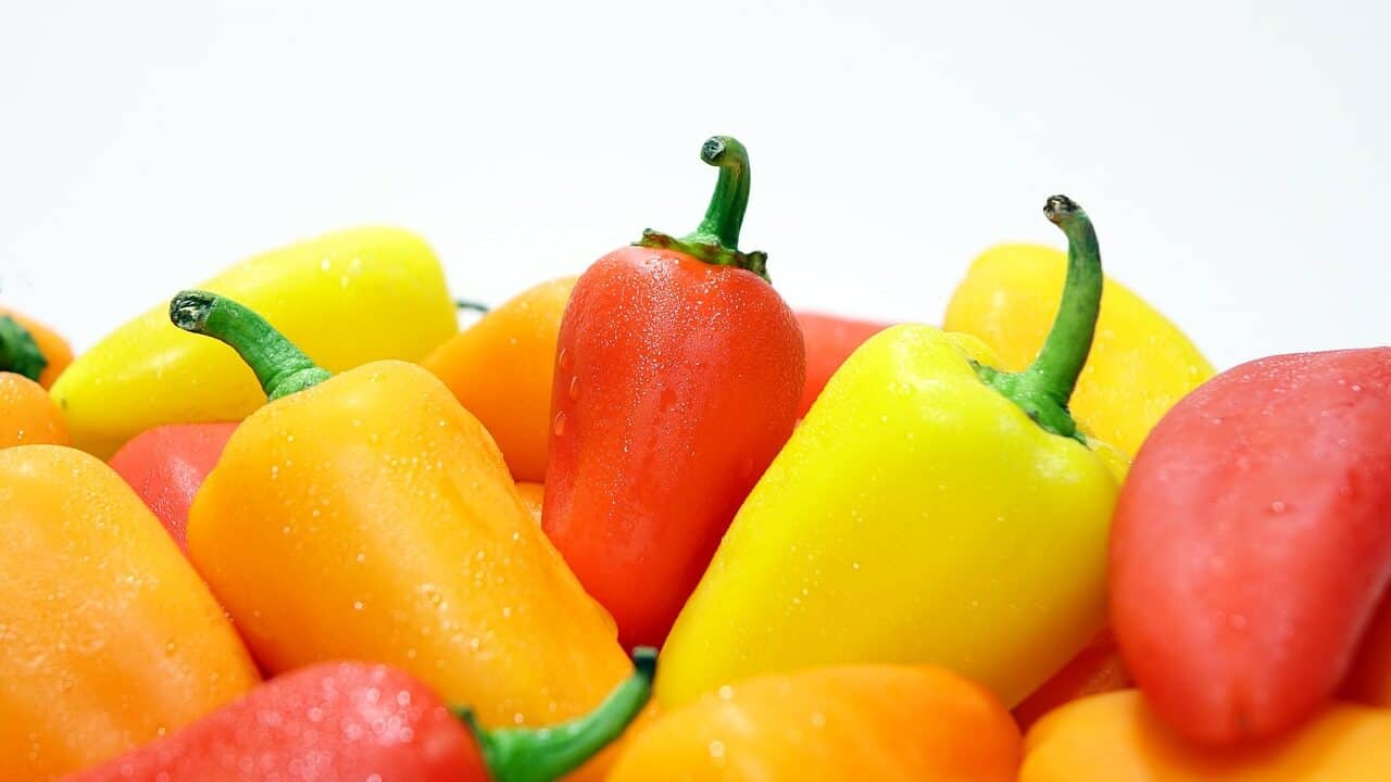 peppers, food, vegetables-467270.jpg