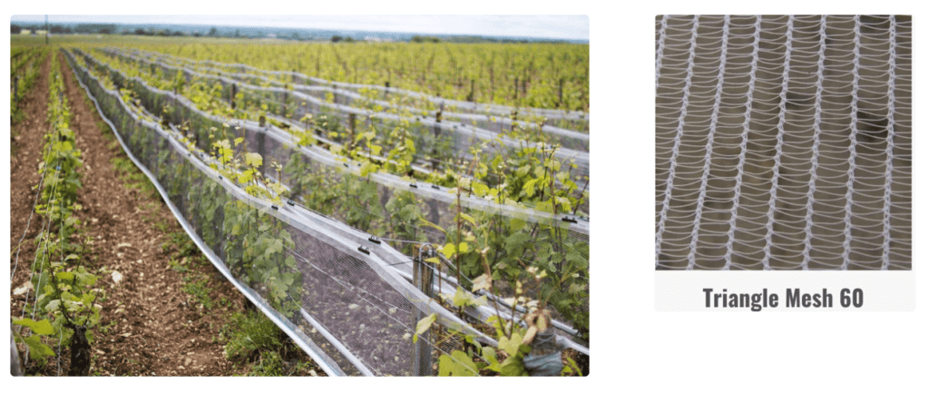 bee netting for vineyard