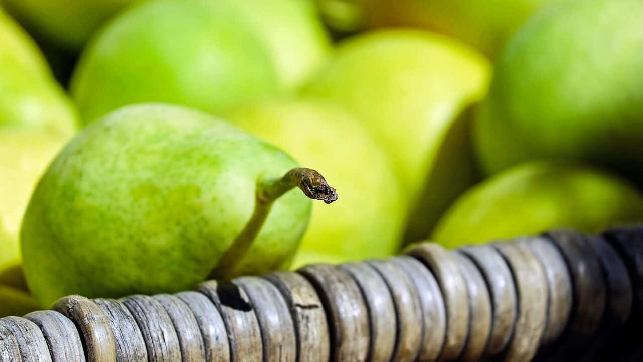 pears, fruit, green yellow-1715766.jpg