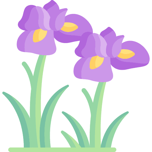008 iris