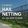 3 types hail netting