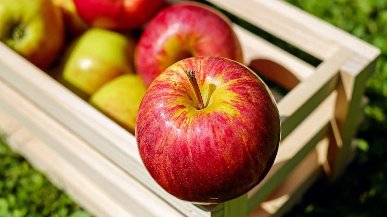 リンゴ、赤、果物-1589869.jpg