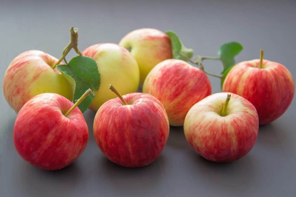 manzanas, fruta, manzana roja-2811968.jpg