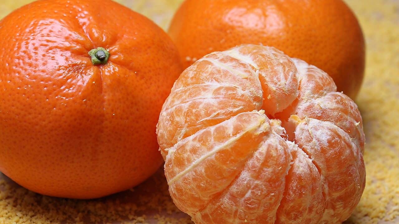 mandarins, citrus plant, fruit-1721563.jpg