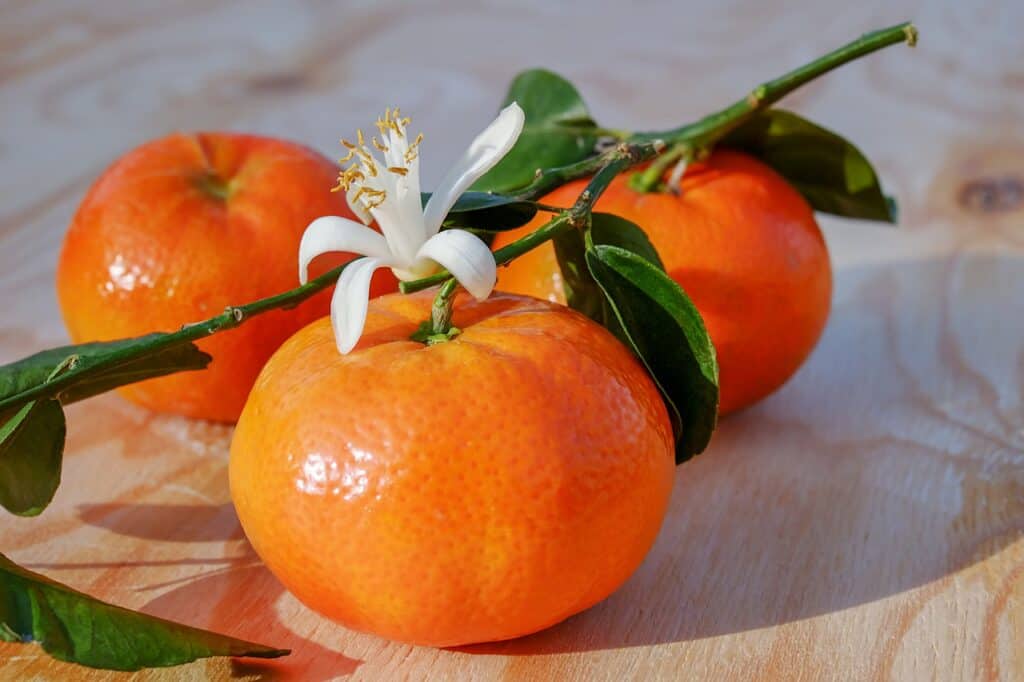 mandarins, clementines, fruit-3114765.jpg