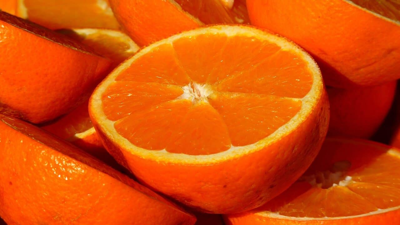 オレンジ、果物、柑橘類-15046.jpg
