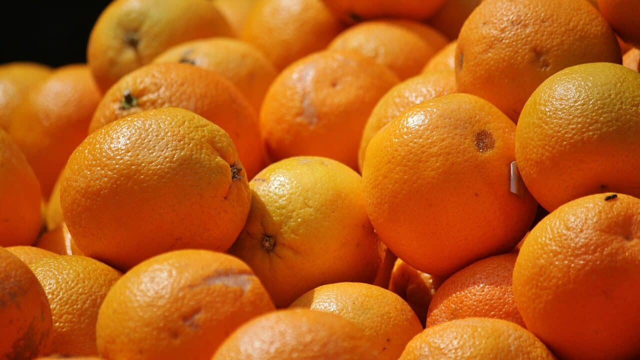 naranjas, frutas, comida-407429.jpg