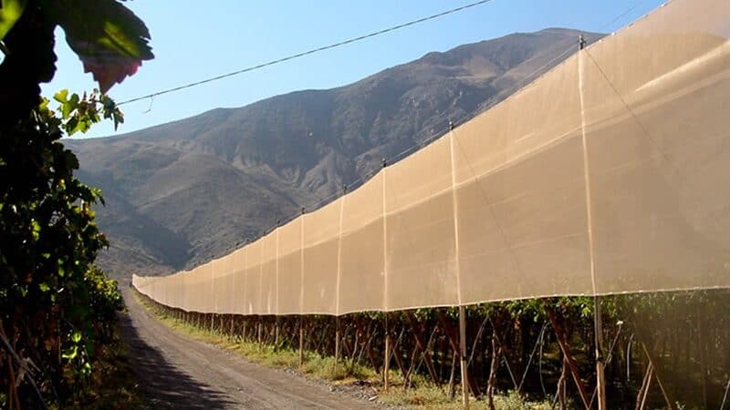 Crop Protection windbreak net
