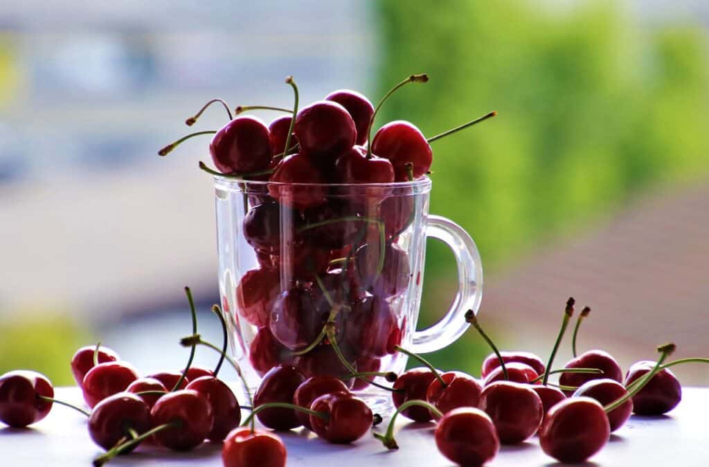 cherries, fruit, the cup-6308871.jpg