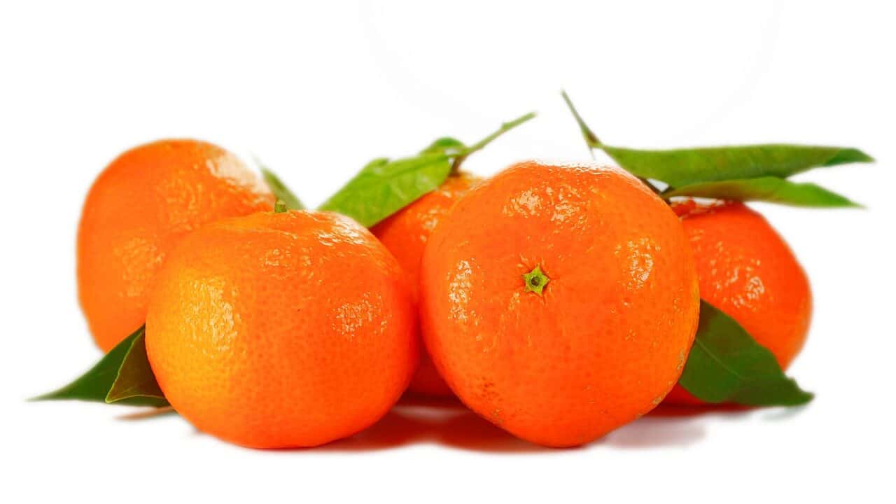 オレンジ、みかん、