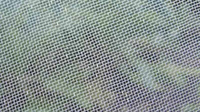 25 mesh insect net
